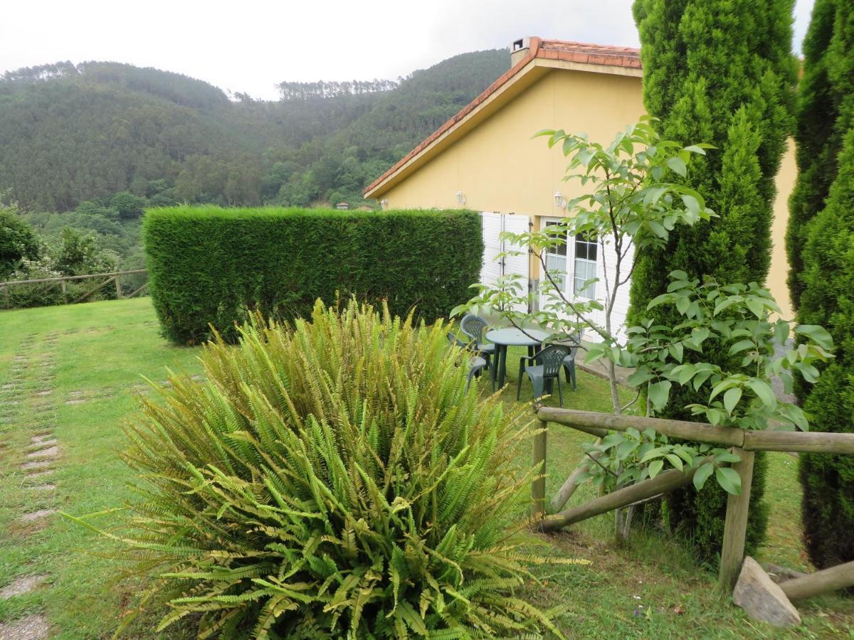 Apartamentos El Otero De Cudillero Soto de Luiña Cameră foto